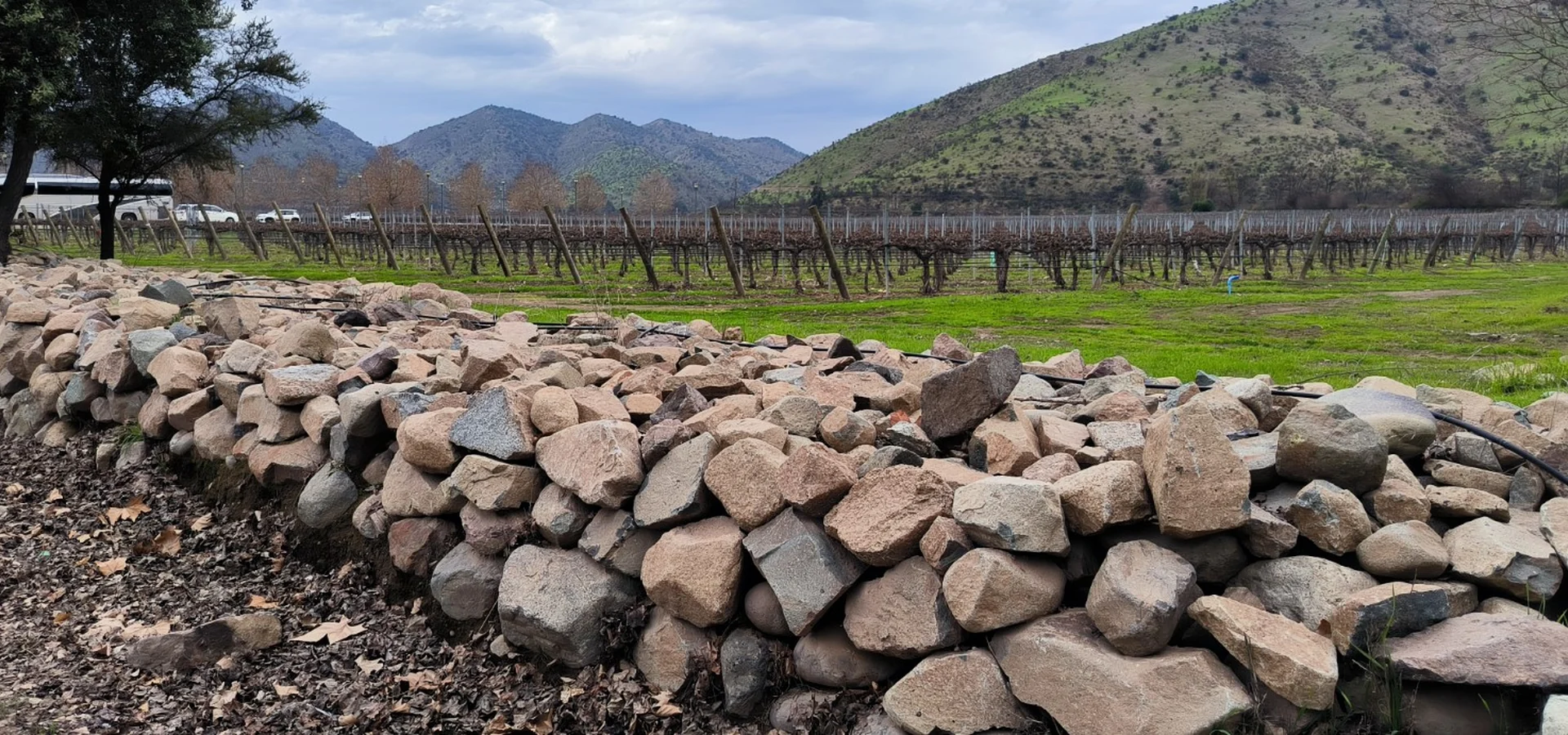 Viña Santa Rita en Alto Jahuel, Buin