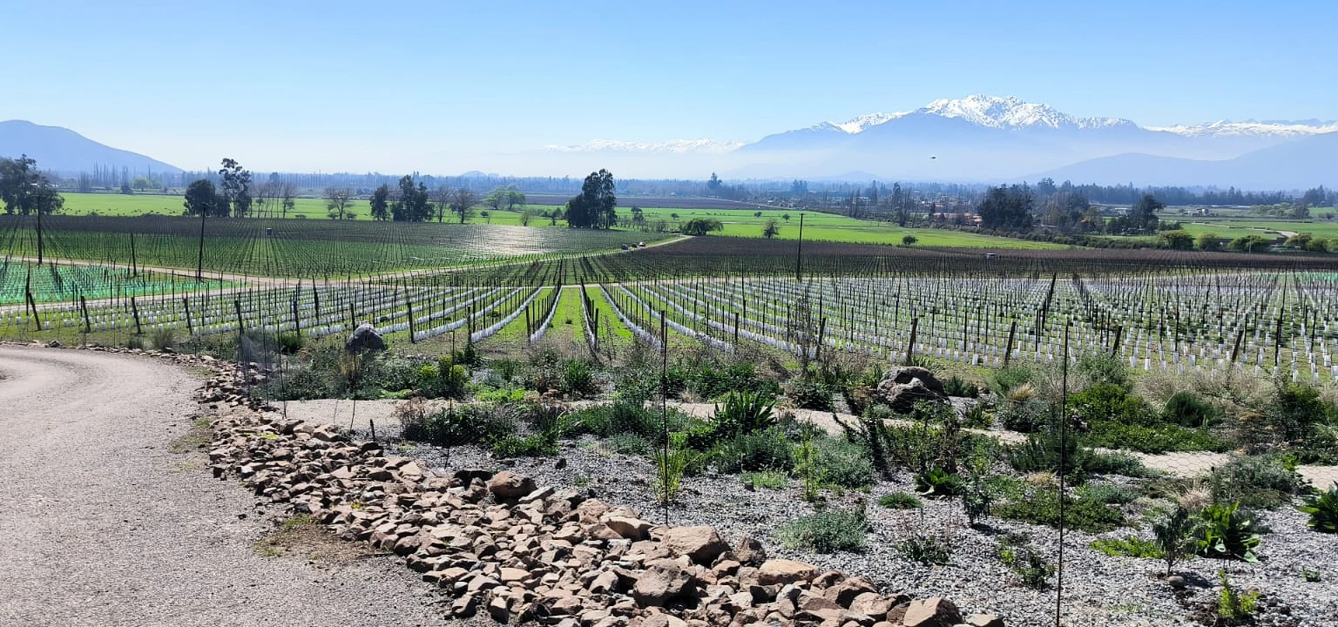 Viña Haras de Pirque